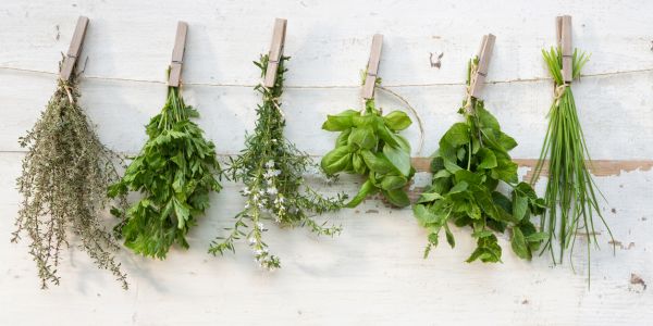Tips for growing herbs